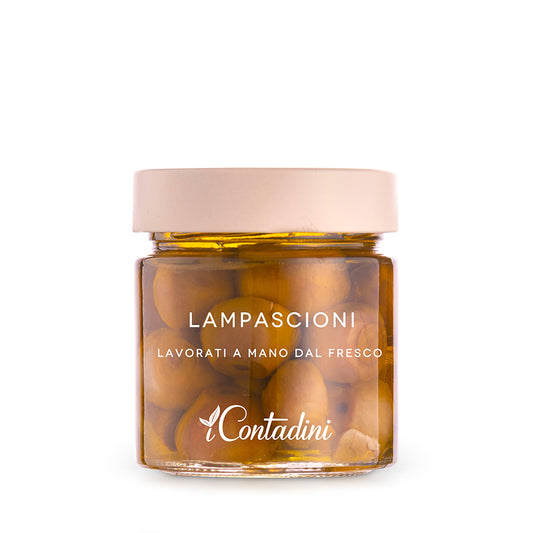 Lampascioni - 230g Jar - Wild Muscari Bulbs in Oil